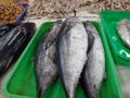 Fresh fish capture at traditional food market Royalty Free Stock Photo