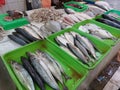 Fresh fish capture at traditional food market Royalty Free Stock Photo