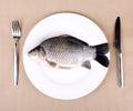 Fresh fish carp Royalty Free Stock Photo