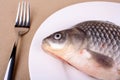 Fresh fish carp on white plate and fork