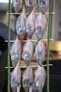 Fish at fish market in Maizuru, Japan. Freshly caught fish speared and hung up for sale at the market. Royalty Free Stock Photo