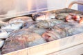 Fresh fish closeup Royalty Free Stock Photo