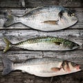 Fresh fish collage in wooden background