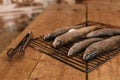 Fresh fish before cooking on the grill. Royalty Free Stock Photo