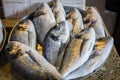 Fresh fish in different sizes laying on a table Royalty Free Stock Photo