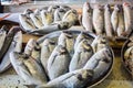 Fresh fish in different sizes laying on a table Royalty Free Stock Photo