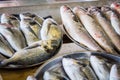 Fresh fish in different sizes laying on a table Royalty Free Stock Photo