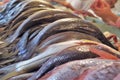 Fresh fish display on a traditional seamarket Honduras Royalty Free Stock Photo