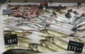 Fresh fish displayed at market