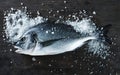 Fresh fish dorado on black board with salt Royalty Free Stock Photo