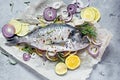 Fresh fish dorado. Raw dorado with herbs, spices and lemon and lime slices ready to cook on a gray background. Top view. Fresh fi