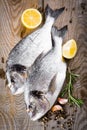 Fresh fish dorado Royalty Free Stock Photo