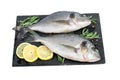 Fresh fish dorado or sea bream. Raw fish seabass with ingredients for cooking isolated on white background