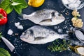 Fresh fish dorado top view spicy herb Royalty Free Stock Photo