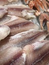 Fresh fish fillets and steaks on the market Royalty Free Stock Photo