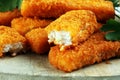 Fresh fish fingers with remoulade sauce. breaded fish fingers with lemon and remoulade Royalty Free Stock Photo