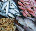 Fresh fish at a fish market Royalty Free Stock Photo