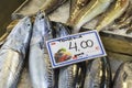 Fresh fish in the fish market - Greece Royalty Free Stock Photo