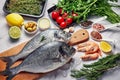 Fresh Fish Food background. Different seafood, shrimps and red caviar. Fish for cooking with herbs, vegetables and spices isolated Royalty Free Stock Photo