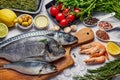 Fresh Fish Food background. Different seafood, shrimps and red caviar. Fish for cooking with herbs, vegetables and spices isolated Royalty Free Stock Photo