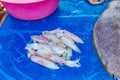 Fresh fish food at the local market, Toamasina, Madagascar