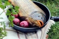 Fresh fish in a frying pan with parsley and red onion in the open air, close-up, bokeh-the concept of a pleasant time on fishing Royalty Free Stock Photo