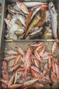 Fresh fish on Greek island Kalymnos local market Royalty Free Stock Photo