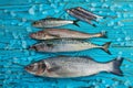 Fresh fish hake seabass sardine mackerel anchovies