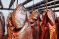 Fresh Fish Hanging in a Smoker and Ready to Eat