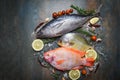 Fresh fish with herbs spices rosemary and lemon garlic tomato for cooked food - Raw fish red tilapia Tuna and pomfret fish on dark Royalty Free Stock Photo