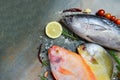 Fresh fish with herbs spices rosemary and lemon garlic tomato for cooked food - Raw fish red tilapia Tuna and pomfret fish on dark Royalty Free Stock Photo