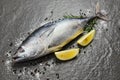 Fresh fish with herbs spices rosemary and lemon - Raw fish seafood on black plate background top view , Longtail tuna , Eastern
