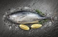 Fresh fish with herbs spices rosemary and lemon - Raw fish seafood on black plate background top view , Longtail tuna , Eastern