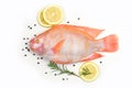 Fresh fish with herbs spices rosemary and lemon - Raw fish red tilapia isolated on white background Royalty Free Stock Photo