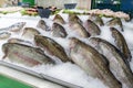 Fresh fish on ice decorated for sale at market, pink salmon Royalty Free Stock Photo