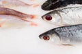 Fresh fish on ice saling in market Royalty Free Stock Photo