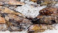 Fresh fish on ice on store counter. Unhurried camera movement