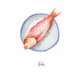 Fresh fish illustration. Hand drawn watercolor on white background Royalty Free Stock Photo