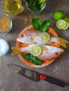Fresh fish with Ingredience ready for cooking Royalty Free Stock Photo