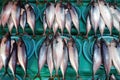 Fresh fish at Jagalchi Fish Market, Busan, Korea Royalty Free Stock Photo