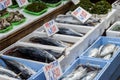Fresh fish in Japanese market Royalty Free Stock Photo