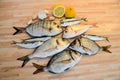 Fresh fish with lemon ready for cooking. Preparing delicious and tasty seafood meal. Uncooked Gilt-head sea bream, Sardines, Commo