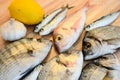 Fresh fish with lemon ready for cooking. Preparing delicious and tasty seafood meal. Uncooked Gilt-head sea bream, Sardines, Commo