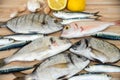 Fresh fish with lemon ready for cooking. Preparing delicious and tasty seafood meal. Uncooked Gilt-head sea bream, Sardines, Commo