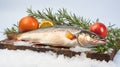Fresh fish with lemon, rosemary and tomatoes on a white background Royalty Free Stock Photo