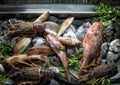 Fresh fish and lobster selections, Osteria del Porto Savelletri