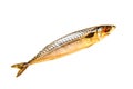 Fresh fish mackerel on a white background, isolated Royalty Free Stock Photo