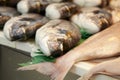 Fresh fish in the market Royalty Free Stock Photo