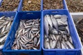 Fresh fish at a market in Medina