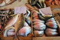 Fresh fish market in Palermo , Sicily, Italy